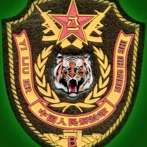 菜鸟跑者🫡王哪跑