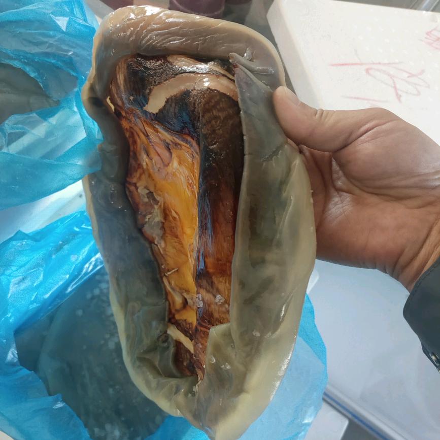 大海捞针大海捞针