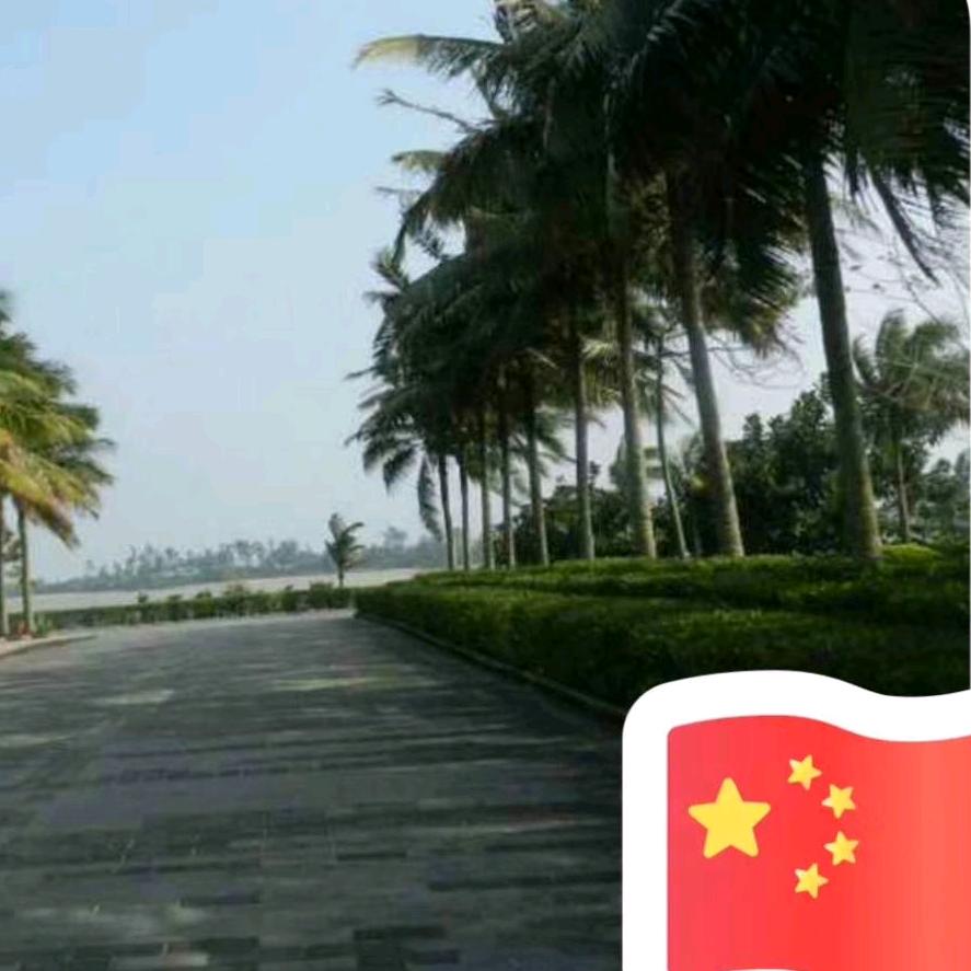 风和日丽