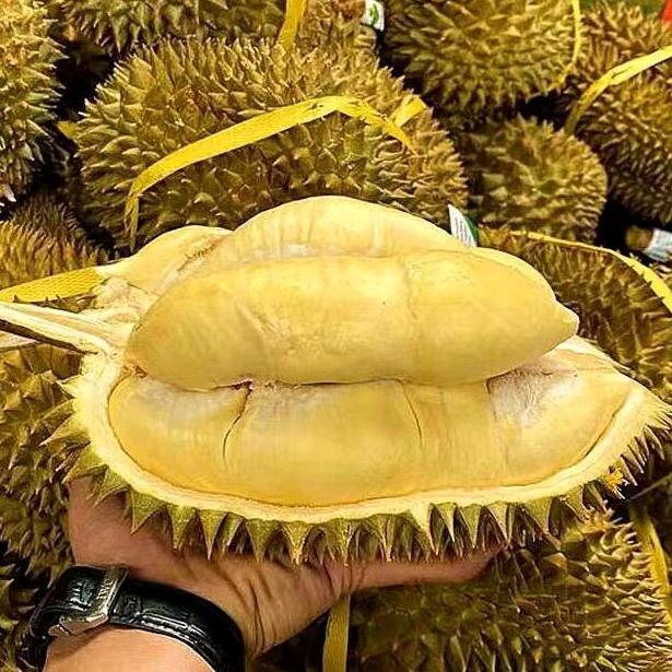 海洋生鲜美食企业店