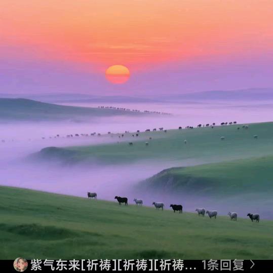 植保福梅