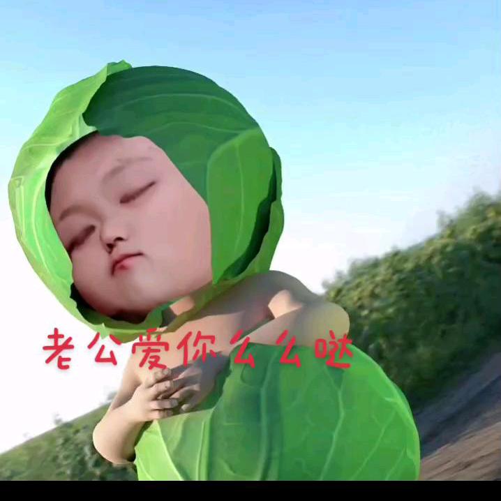 梦瑶