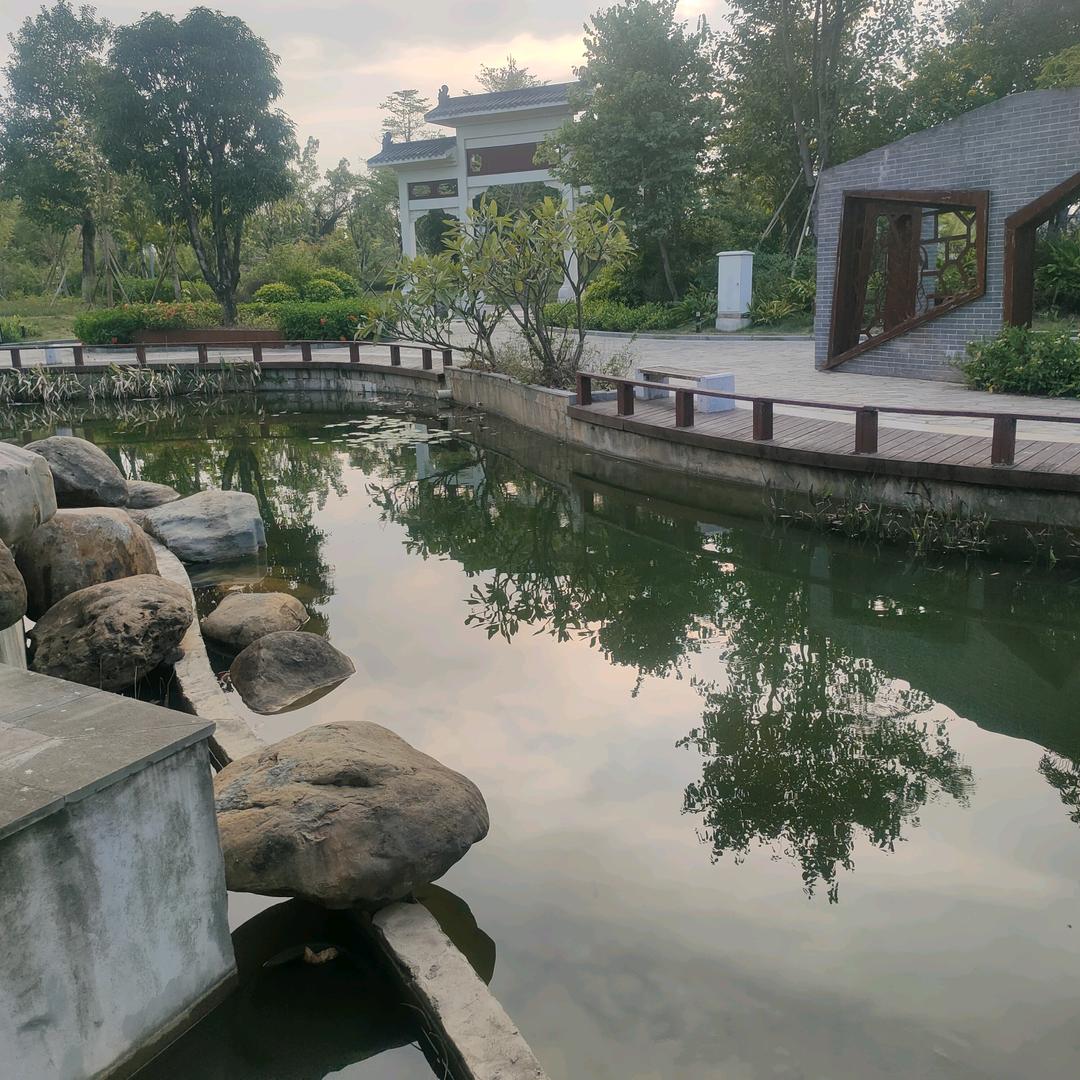 迷茫