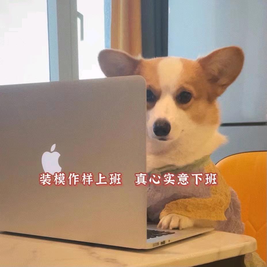 🌈🌈军训的话肯定都没看到