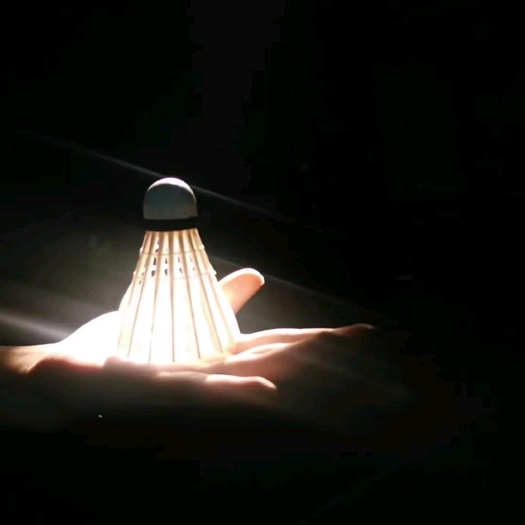 马卡龙的马龙