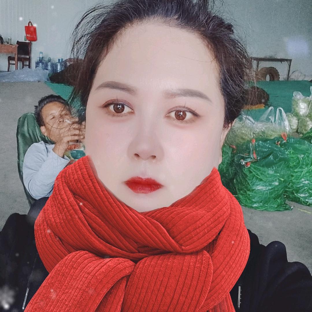 武山县保元脱水蔬菜有限公司