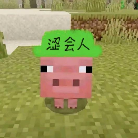 老叶.👾