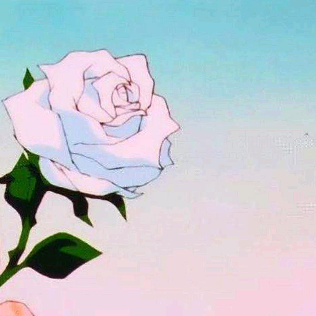 🌸