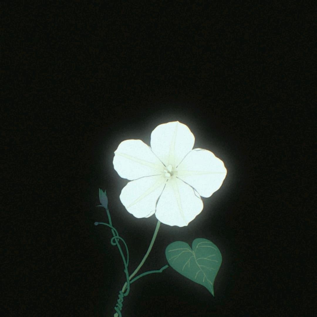 ⌯'ㅅ'⌯木木