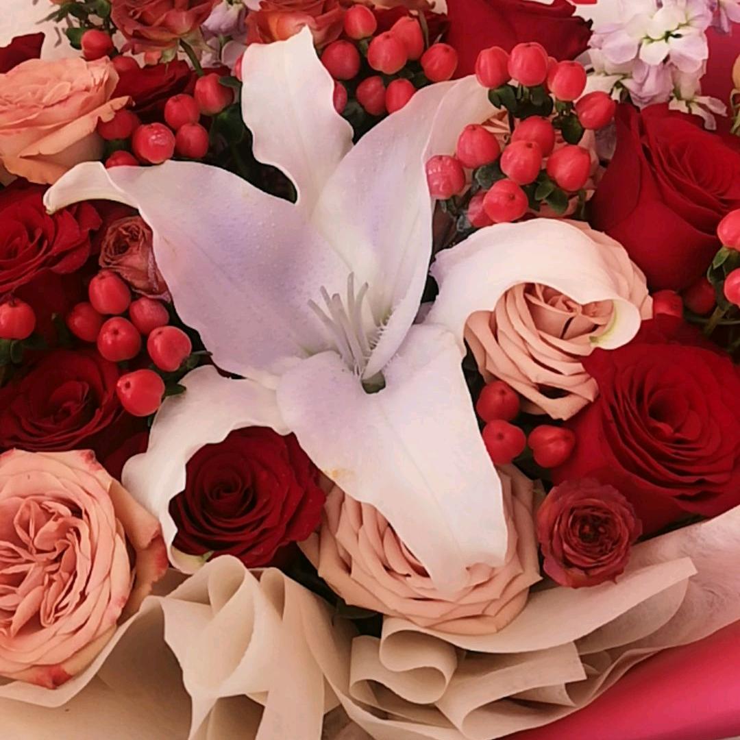 静姐🌺☘️