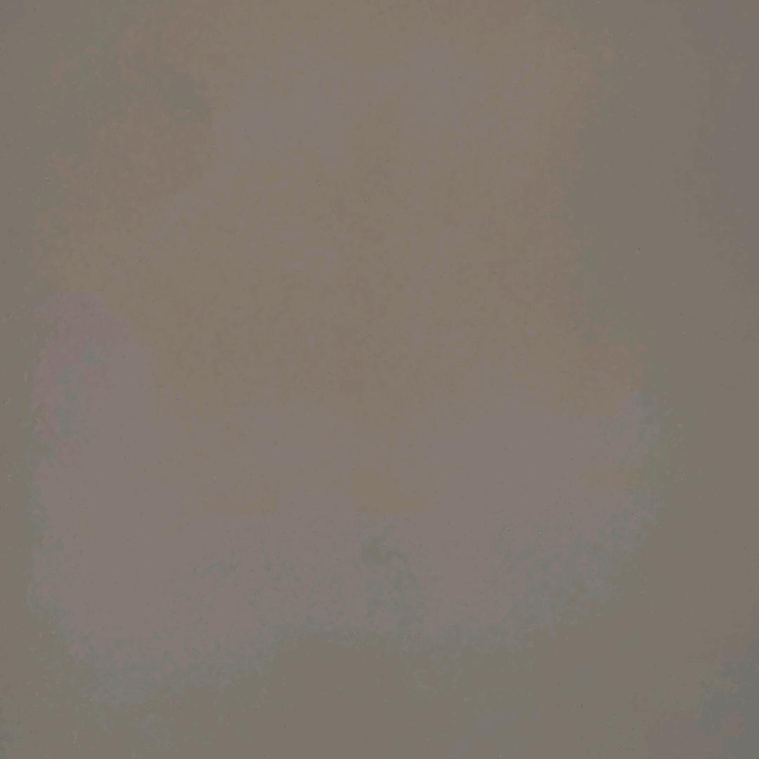 DJ杨子