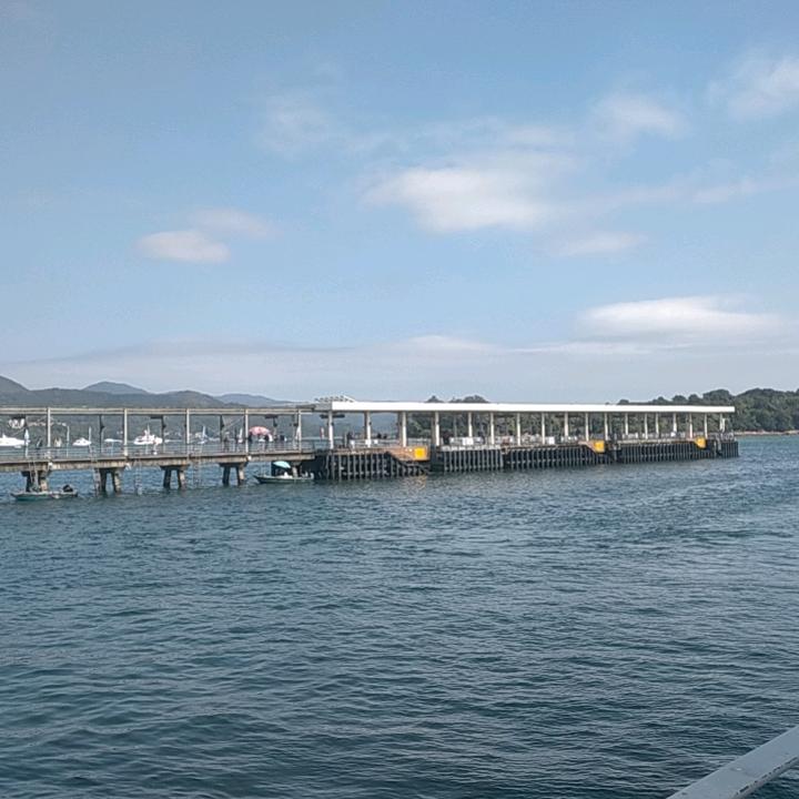 停车坐爱枫林晚