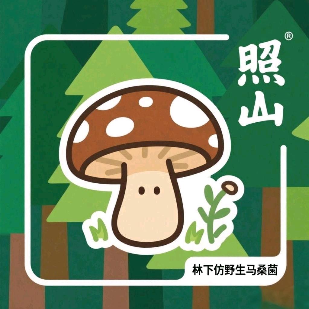 棕坪照山村