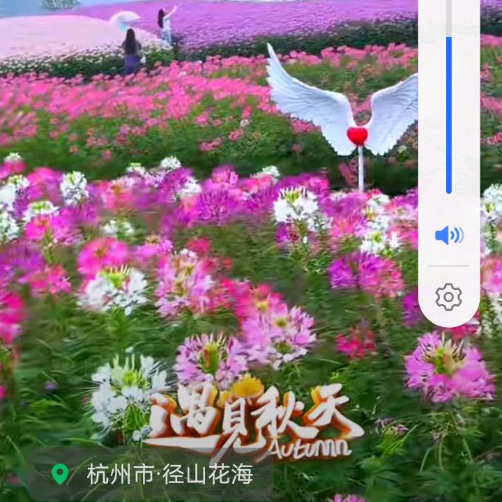 美丽的沙滩