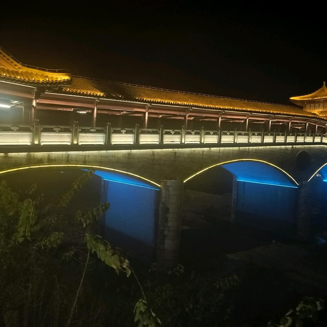 小免孑小兔子