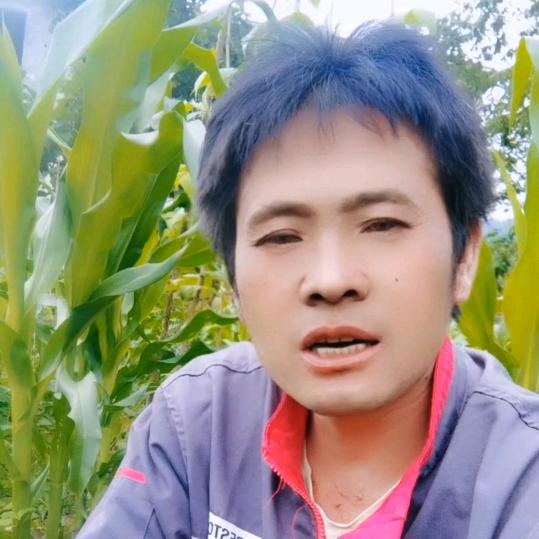 农村发哥
