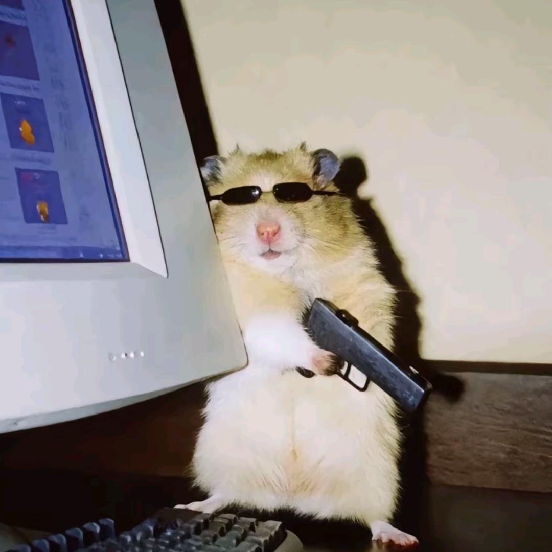 胡图图（自律版）