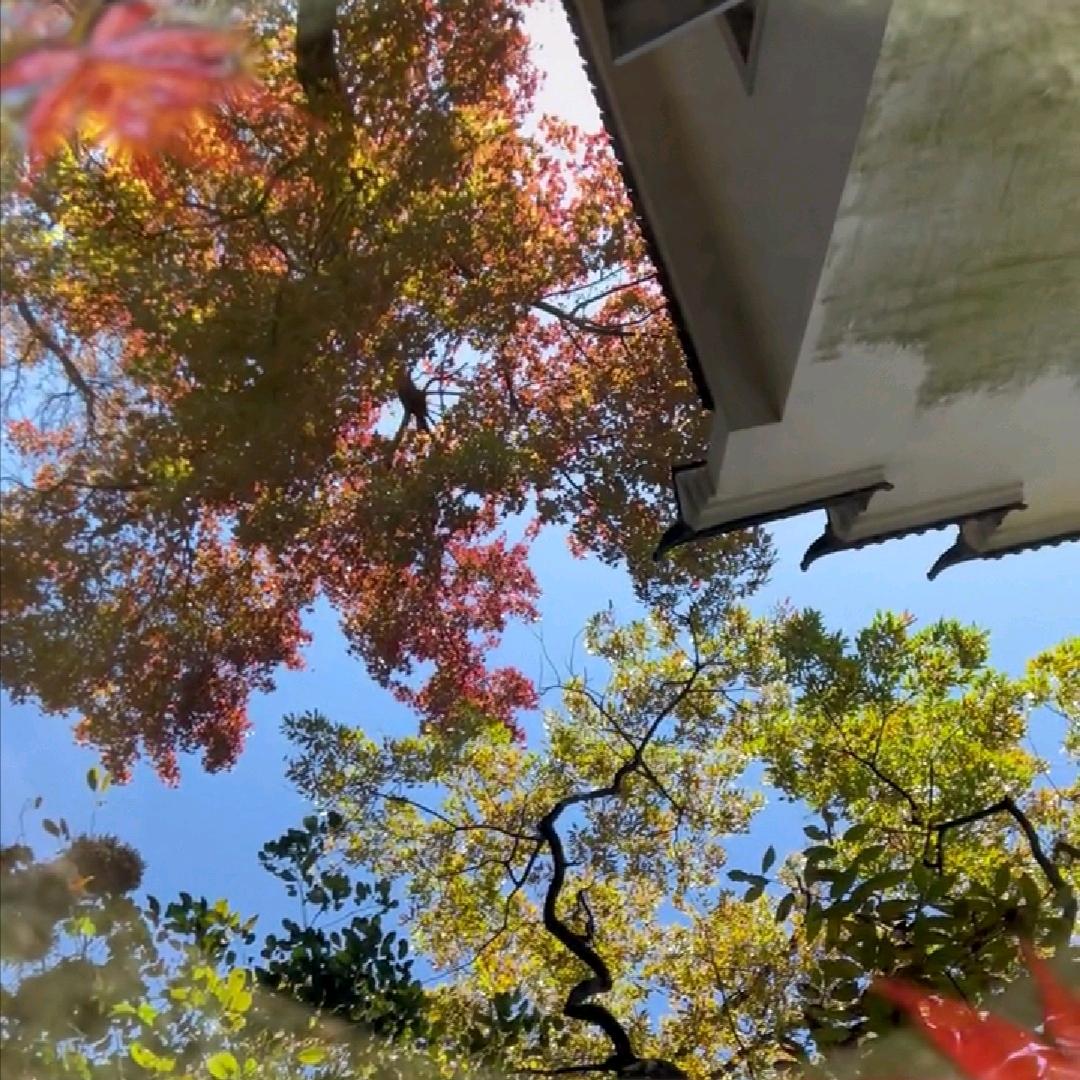 人生如梦。