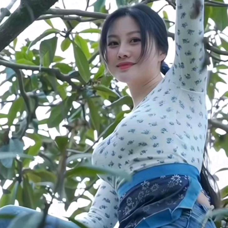 柒老板上山砍柴
