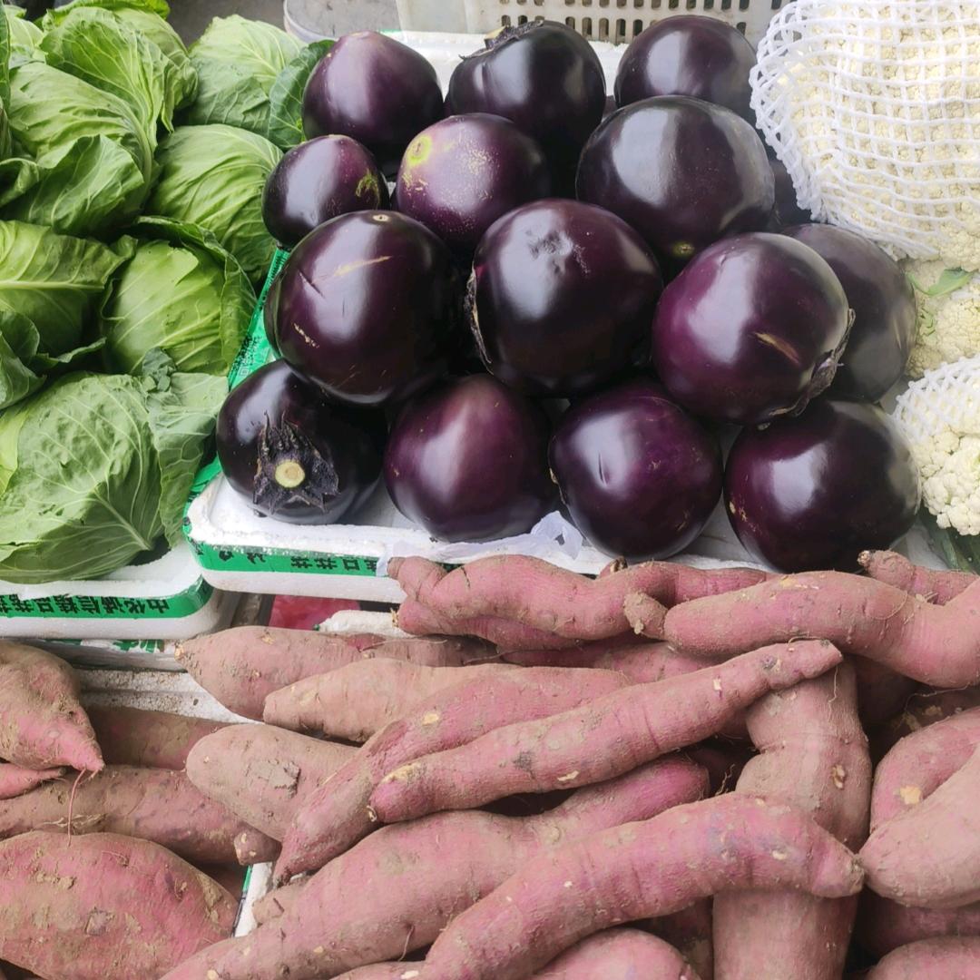 故事到头终是悲