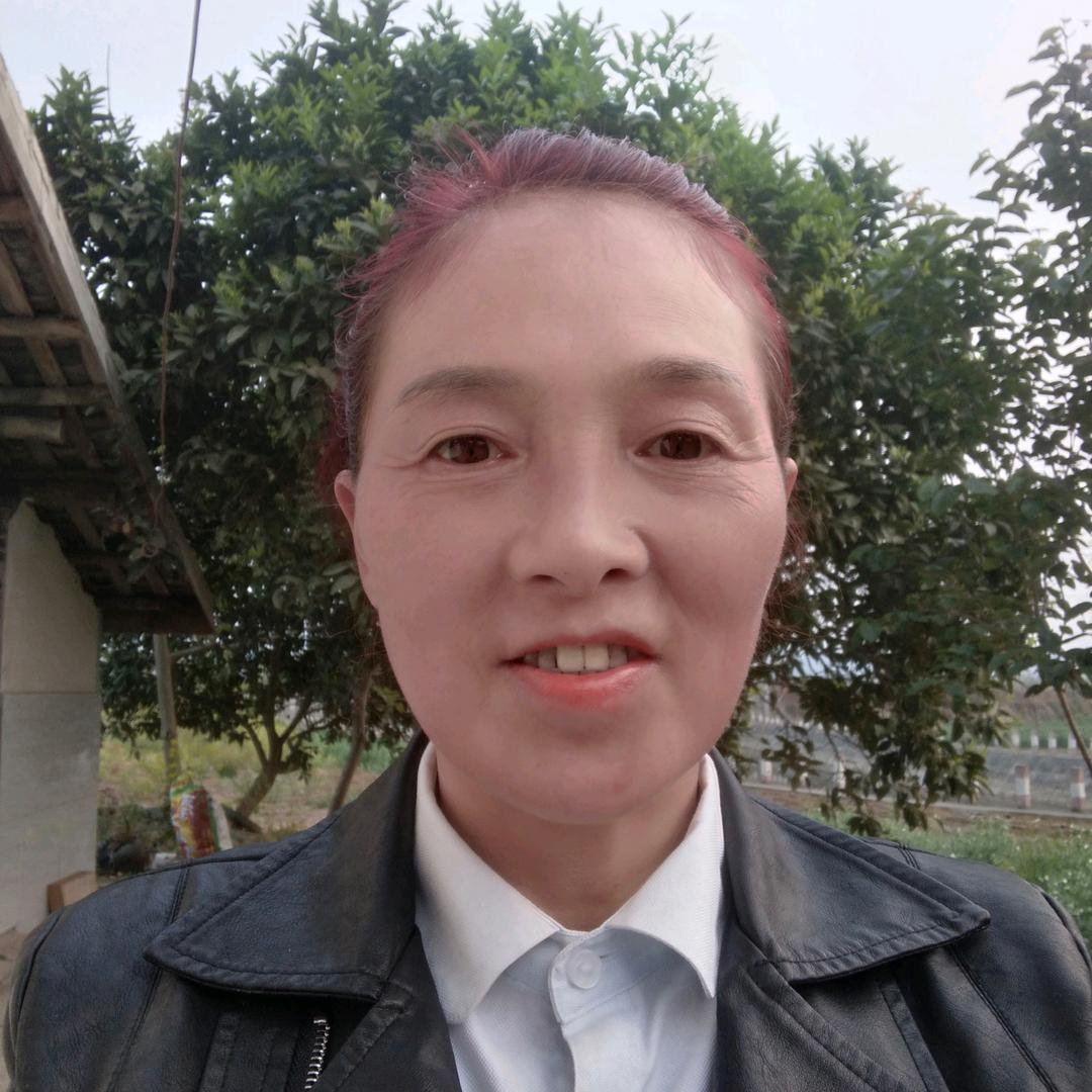 张平会