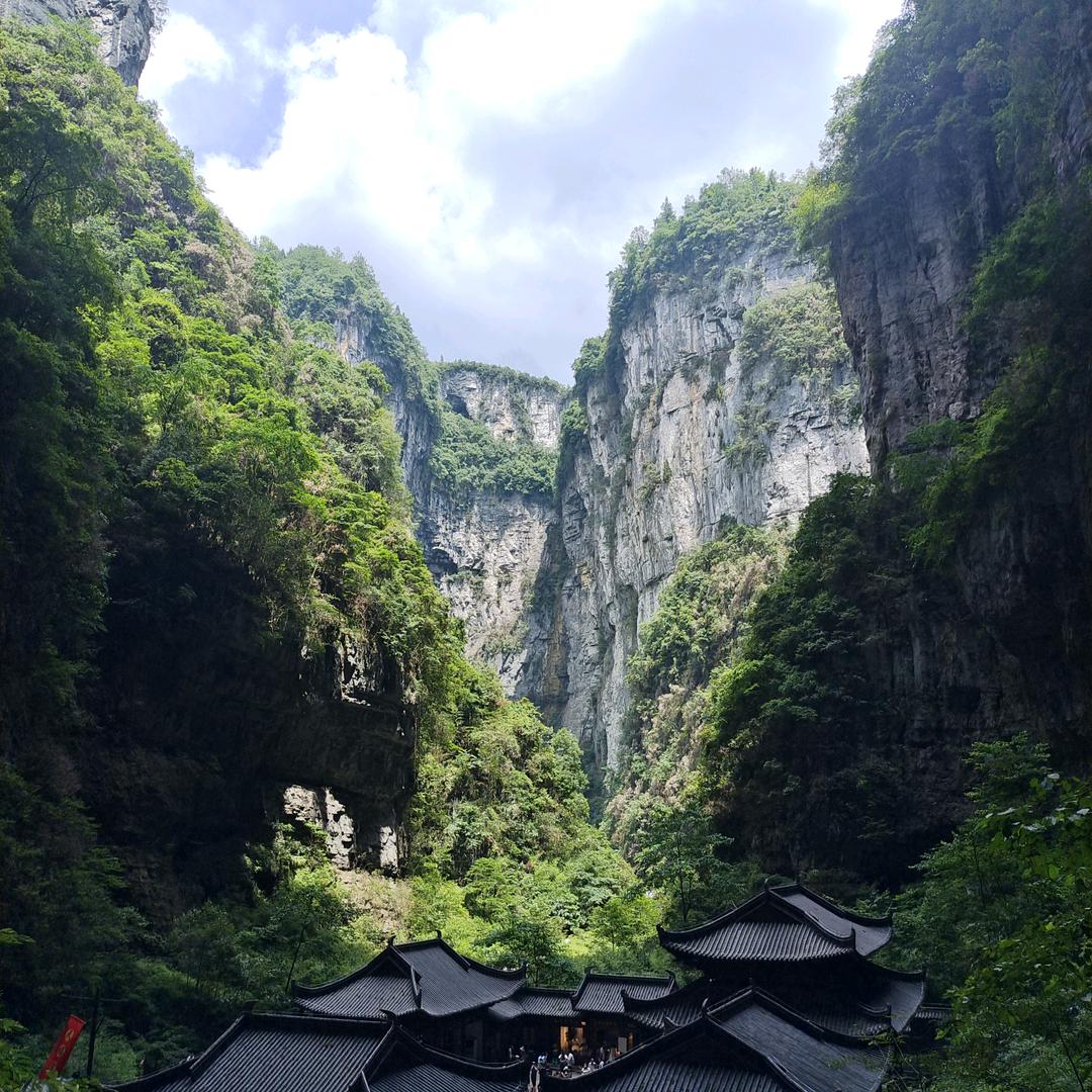 会飞的鱼
