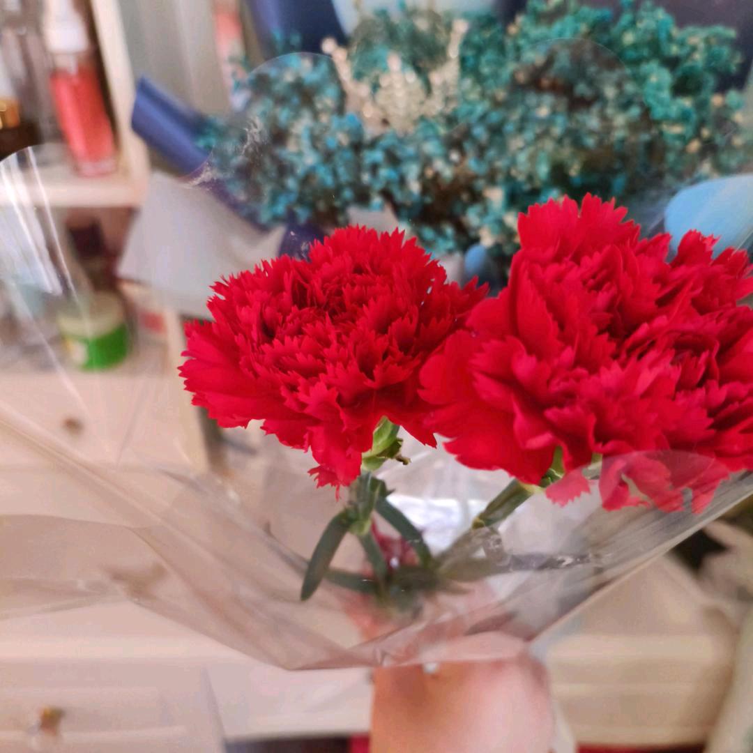 花瓣雨🌷
