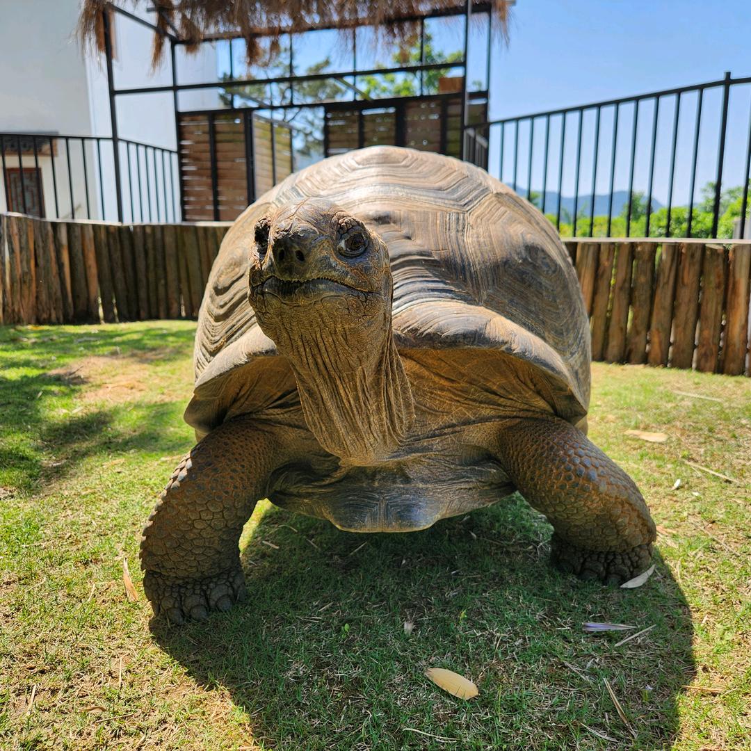 浙江鼋谷生态文化