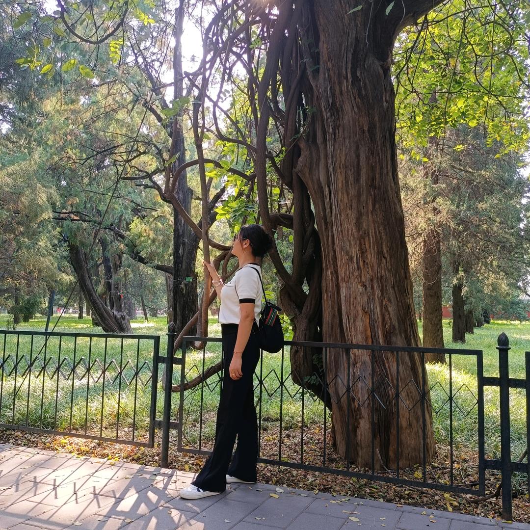 @ღ᭄毛家ꦿ꯭丫頭꧔ꦿ᭄💞