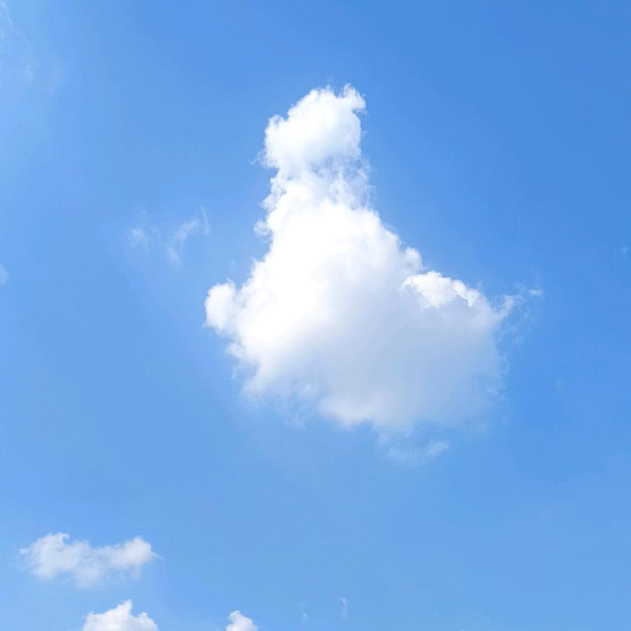 与你相伴