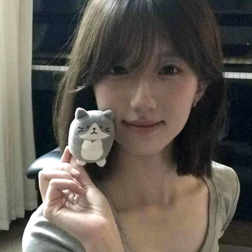 冷色调（猕猴桃🥝）