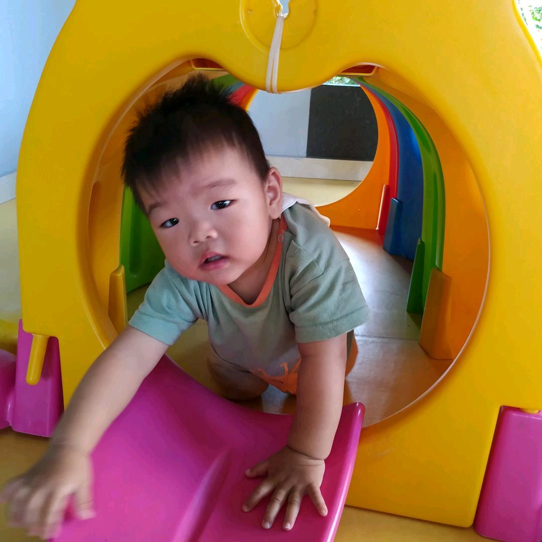 开心果🌻🍁🌲