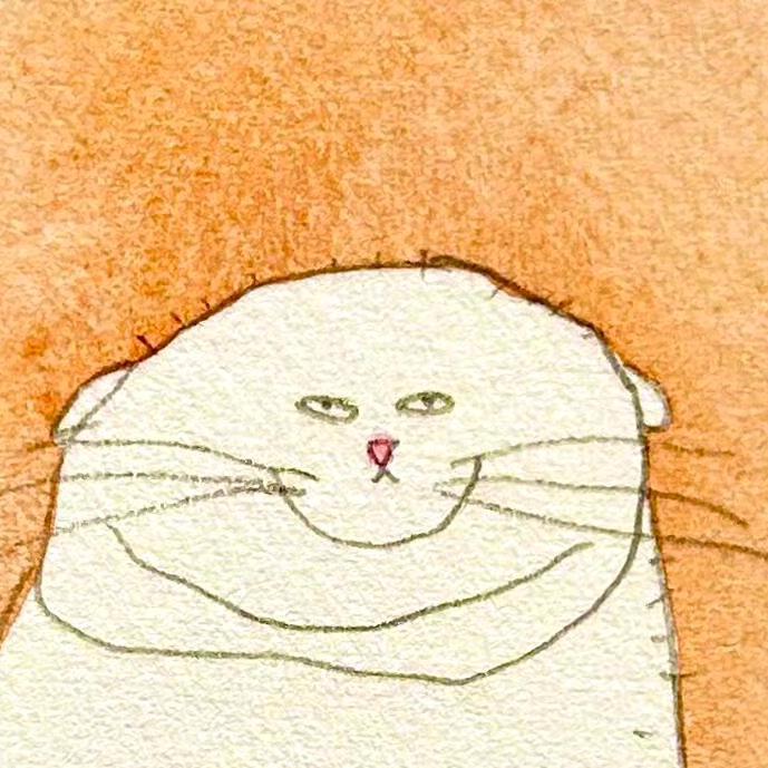 皮皮木