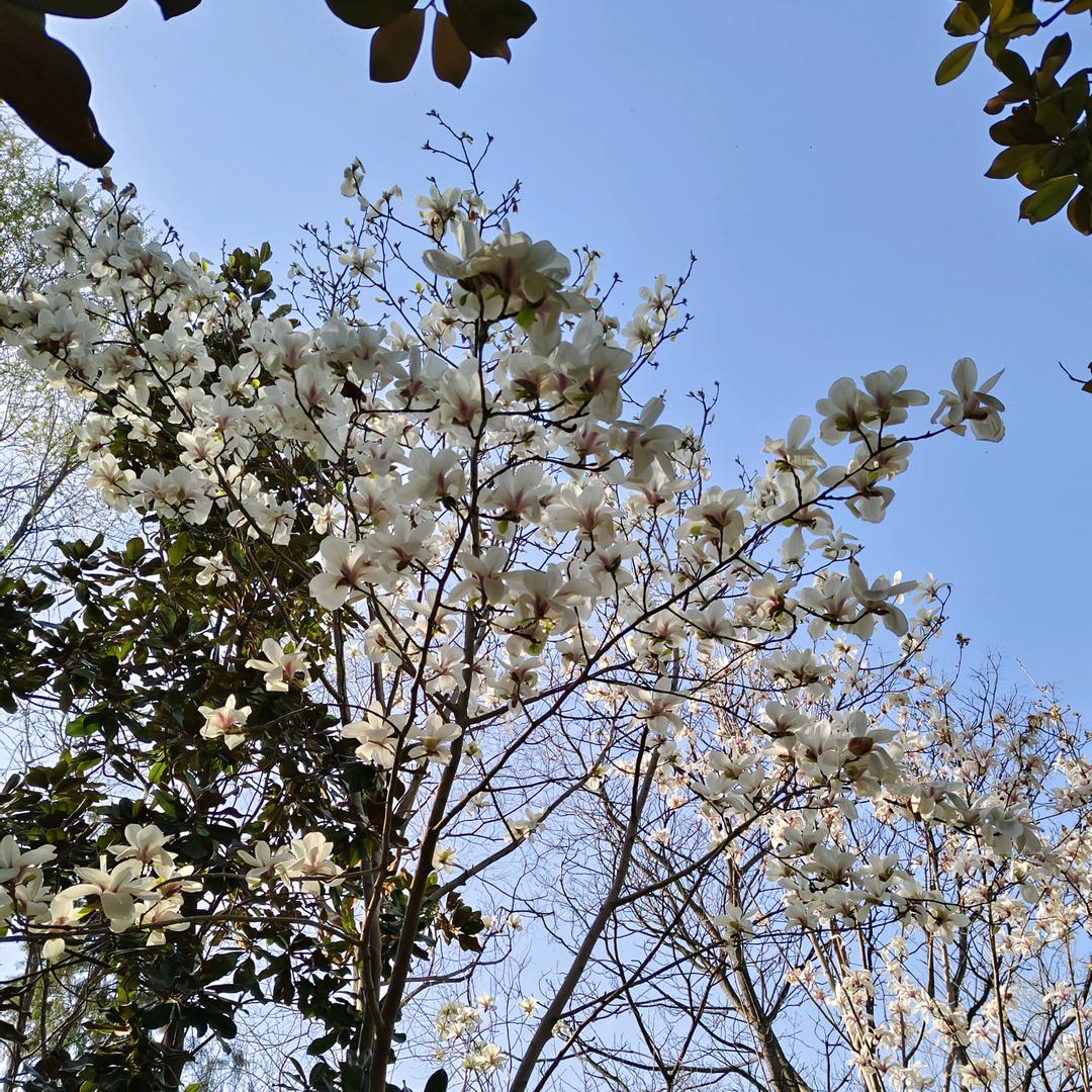 美丽的姐