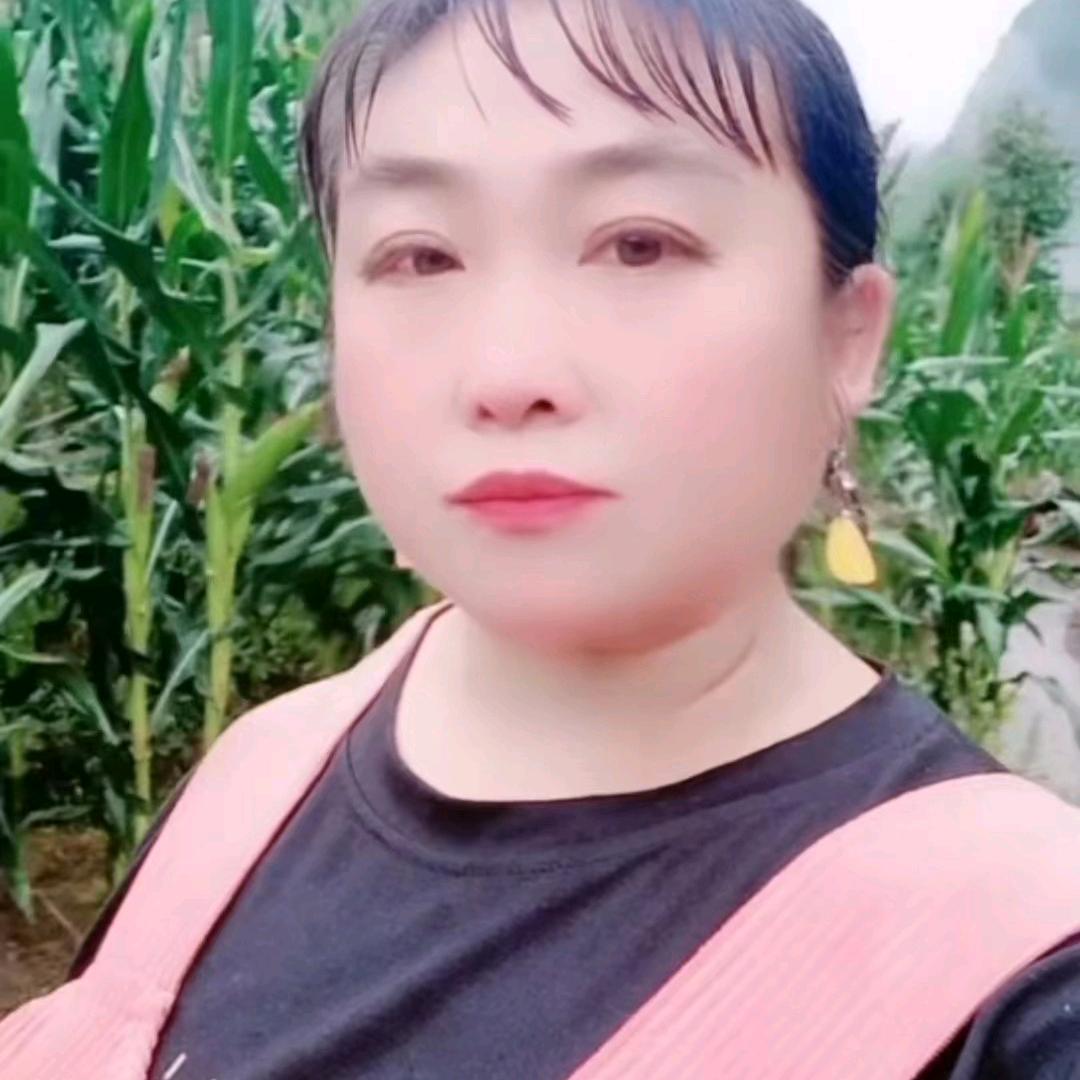 野鹿告张幺妹