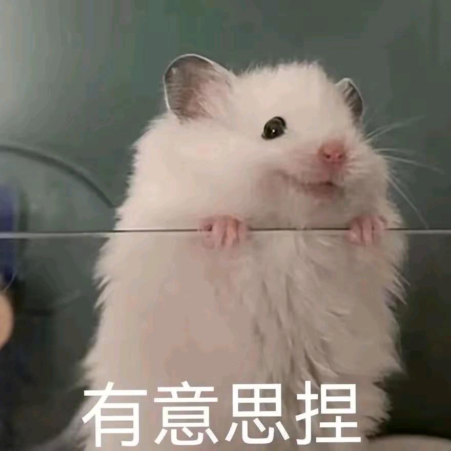 臭臭的第99任男朋友