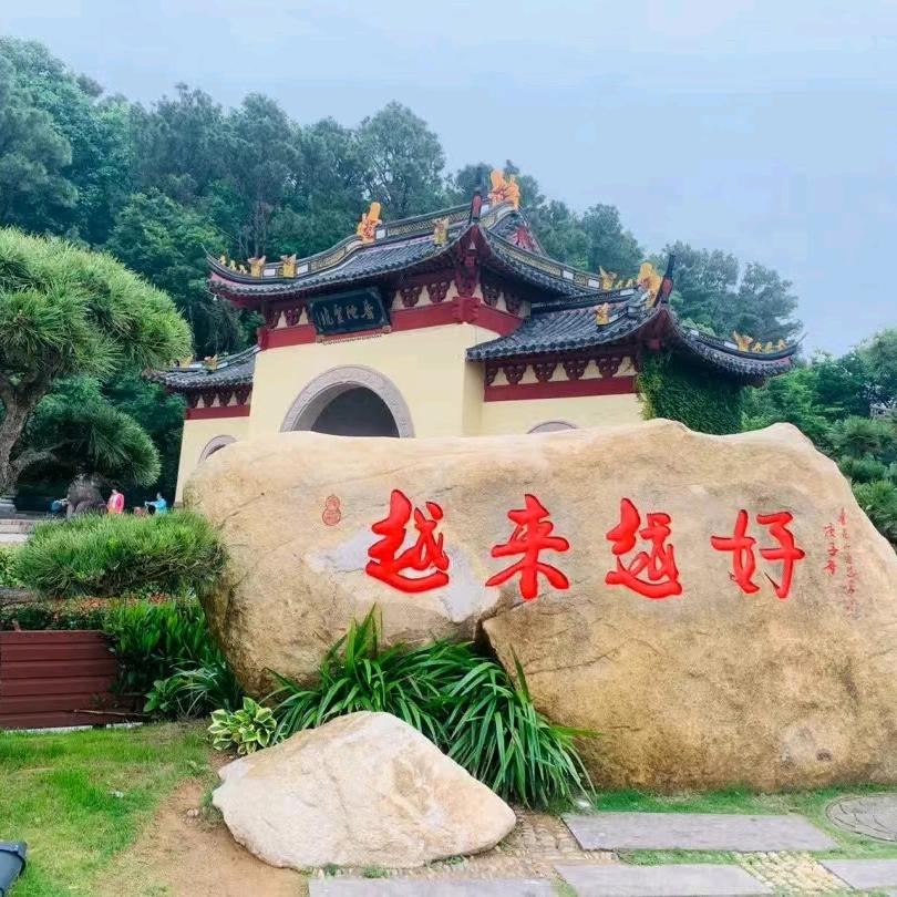 鞋（邪）舞人生