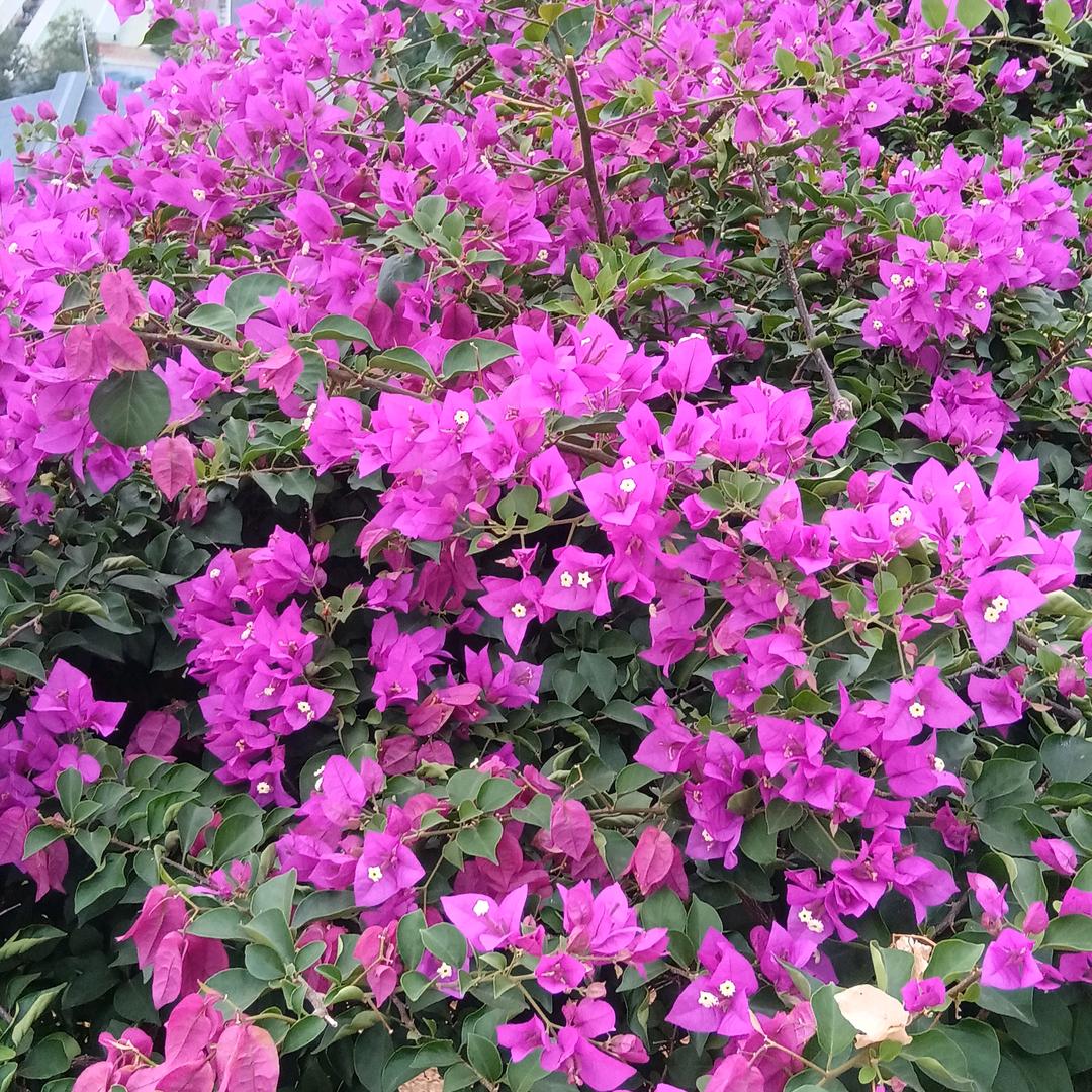 80后陈哥