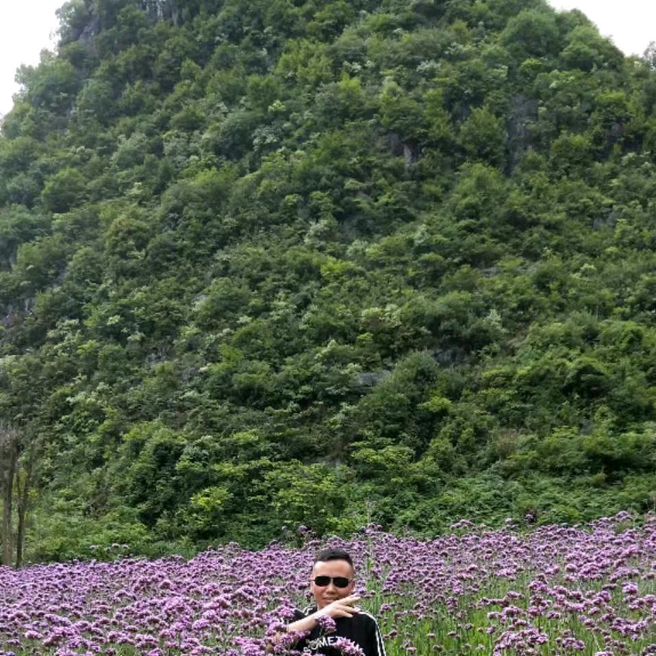 在网络你等你