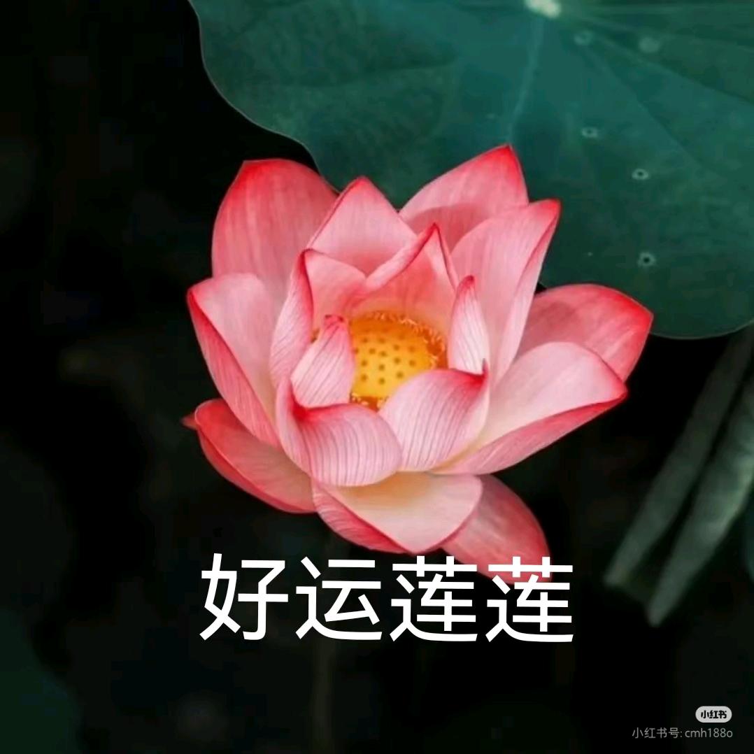 快乐