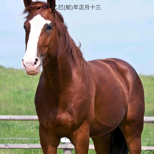 江西鑫鑫土菜馆官方号望江北路65号