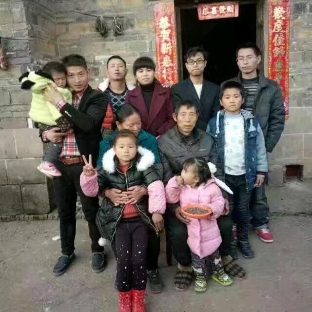 好莱客艺术整装的代王