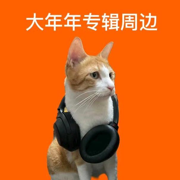 胖年年专辑周边