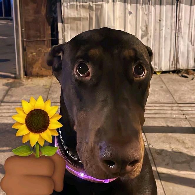 🌸
