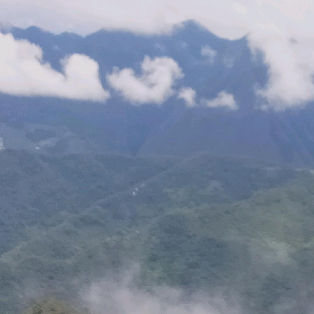 打开每天的窗帘儿