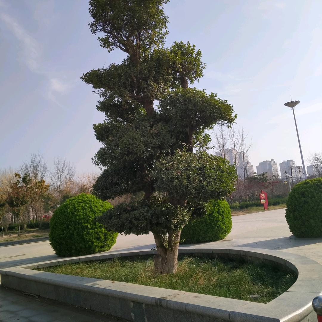 明天更美好，拒绝连赞🙏