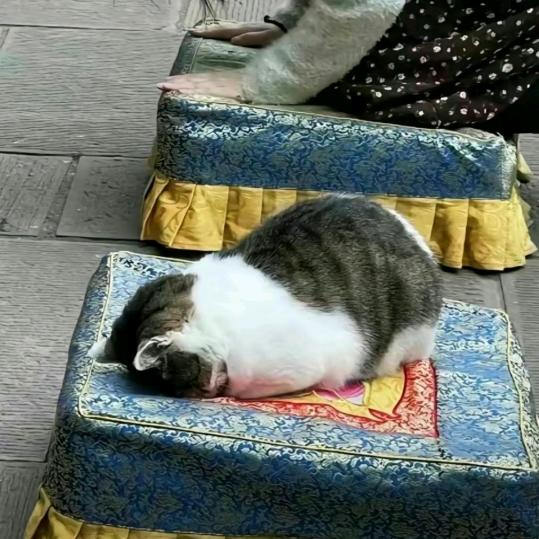 桂林岱龙江桥