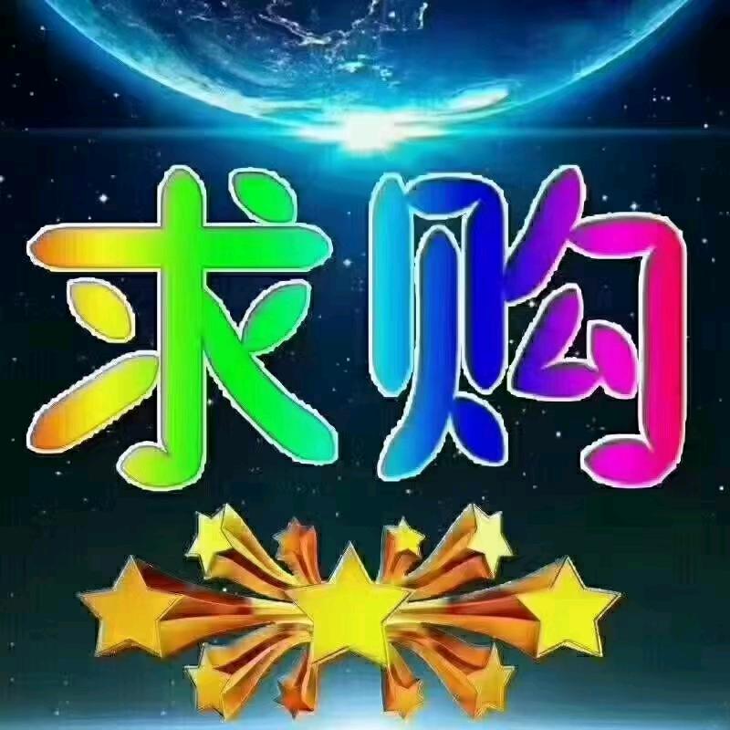 阳光和你同在