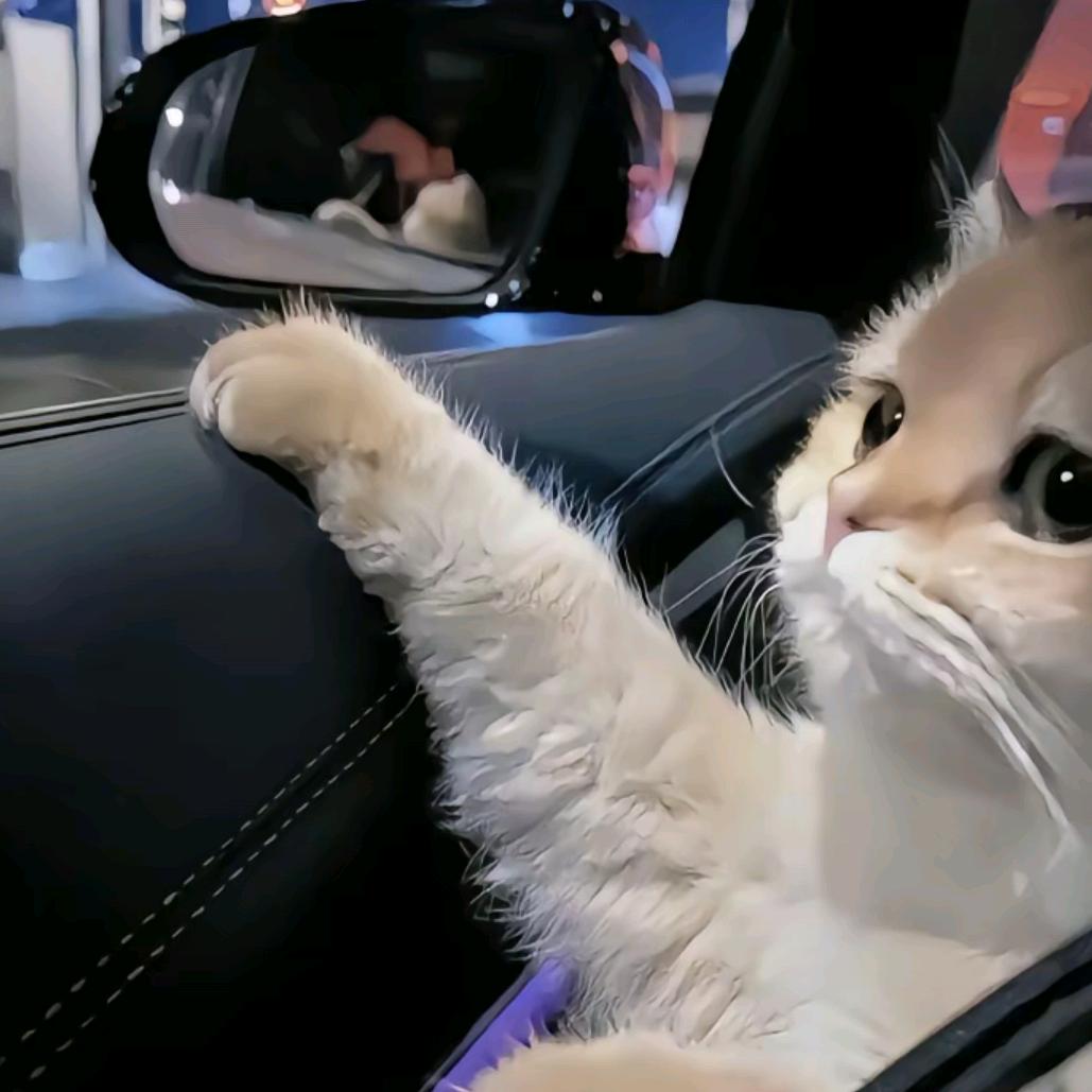 落日一点如红豆