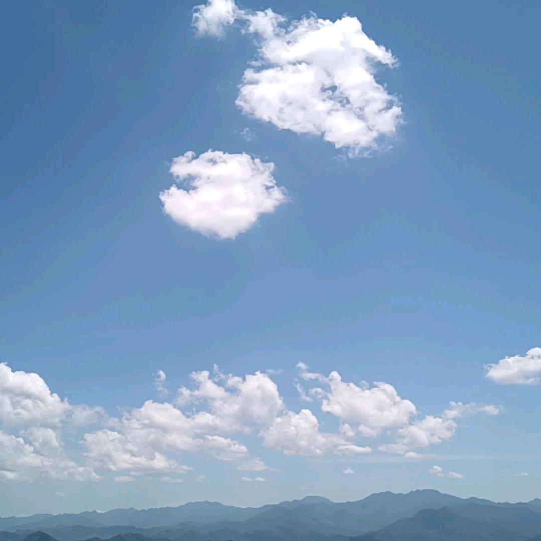 青青⭐️⭐️⭐️⭐️⭐️